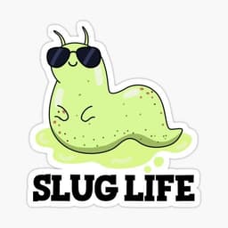 Slug_snail