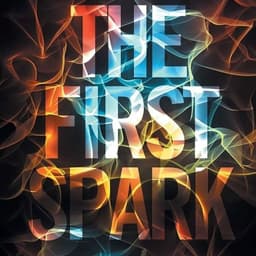 FirstSparkk
