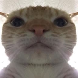 _fendix_