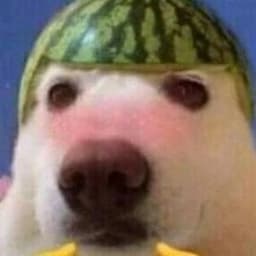 GusManHP
