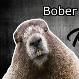 BobrrKyrva