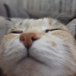 USELESS_DAY