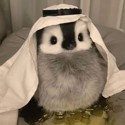 szxmono