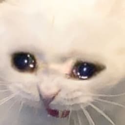 TinyH3bb
