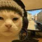 -catgamer-