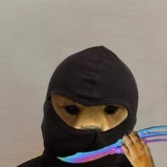 zygzyg2