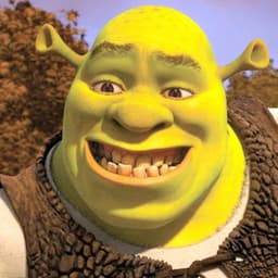shrekbigD