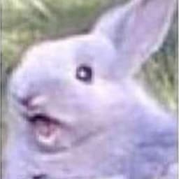 Outvoc