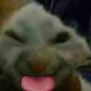 SonKu