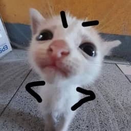 YooJiaoz
