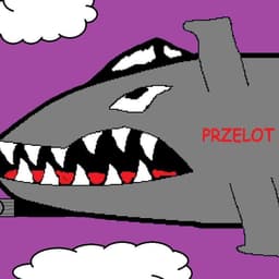 Mokrzyk2001
