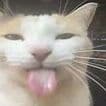 Elmt_pwn