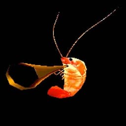 JustAShrimp