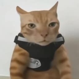 JoseCraftGT