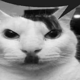 pirnus