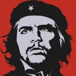 Tom_solo