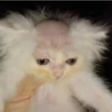 Aki0