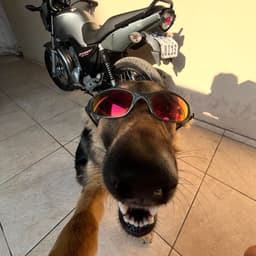 SnoopyTheDog