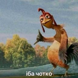 ZokaRok