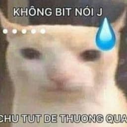 manhbua