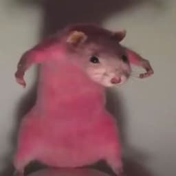 Bobtrzyk