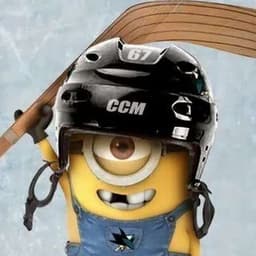PlayHockey