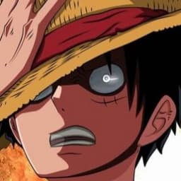 1_1Luffy1_1