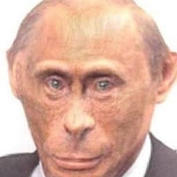 tom1nsh