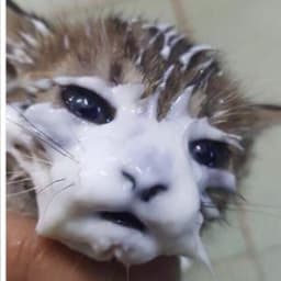 K3n3n
