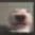 Bepus
