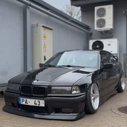 Absolutefan