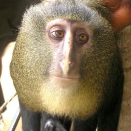 KarNbi