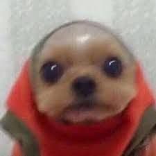 _Rafa1