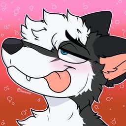 Rykoa
