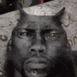 Wodahs1