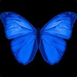 xmadesio