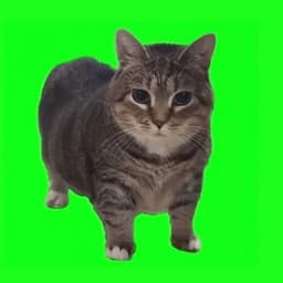 kwanxtrfy