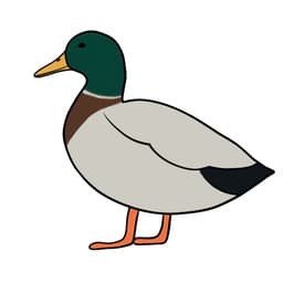 TJ4L