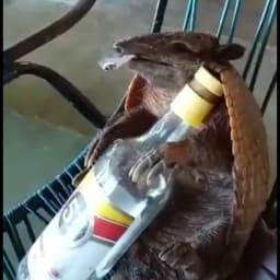 Vaporcerato