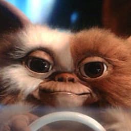 Mogwai