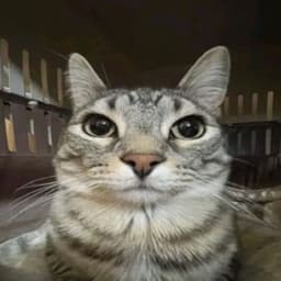 c0nicall