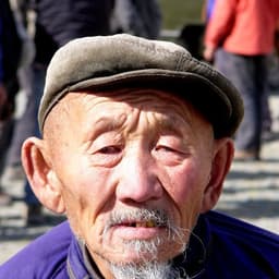 kostroi