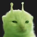 wrimply