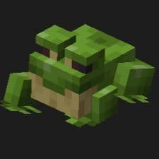 MrDancor