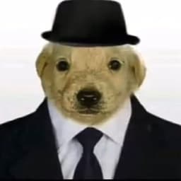 PoVoDblpb