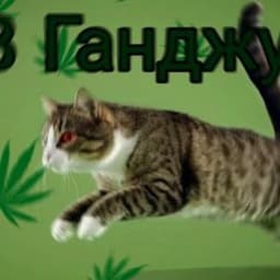 GodGr1me