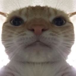 Dezey98