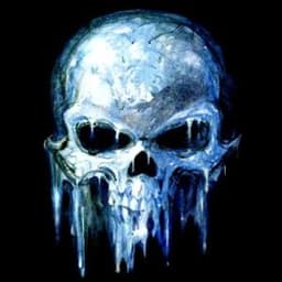 Ice1338