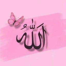 alennn___444