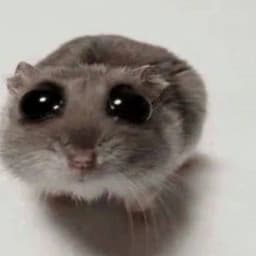 Senpai_4sv